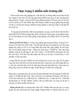 Thực trạng ô nhiễm môi trường đất