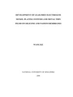 Development of lead free electroless nickel plating systems and metal thin films on silicone and nafion membranes 