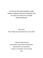 A study of the immunomodulatory characteristics of FIP fve protein and its adjuvant effects in tumor immunotherapy 