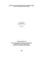 A female focused design strategy for developing a self care information system 2 