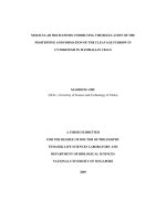 Molecular mechanisms underlying the regulation of the positioning and formation of the cleavage furrow in cytokinesis in mammalian cells 