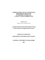 UNDERSTANDING SOCIAL INTEGRATION PROCESSES IN THE USE OF ENTERPRISE SYSTEMS (ES)  a SOCIAL CAPITAL PERSPECTIVE 