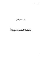 Synthesis and characterization of amphiphilic poly(p phenylene) based nanostructured materials 6 