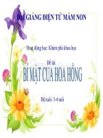 Bài giảng điện tử mầm non lớp Mầm đề tài Bí mật của hoa hồng