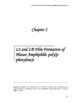 Synthesis and characterization of amphiphilic poly(p phenylene) based nanostructured materials 2 