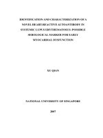 Identification and characterization of a novel heart  reactive autoantibody in systemic lupus erythematosus possible serological marker for early myocardial dysfunction 