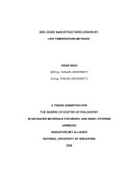 ZnO nanostructures grown by low temperature method 