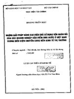 những giải pháp nâng cao hiệu quả sử dụng vốn nhàn rỗi của các doanh nghiệp bảo hiểm nhà nước ở việt nam trong điều kiện chuyển sang nền kinh tế thị trường