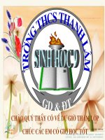 Bài 34. Thái hóa do tự thụ phấn và giao phối gần