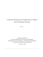 Connection routing and configuration in optical burst switching networks 