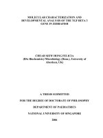 Molecular characterization and developmental analysis of the TGF beta 3 gene in zebrafish 