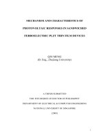 Mechanism and characteristics of photovoltaic responses in sandwiched ferroelectric plzt thin film devices 