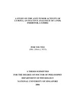 A study on the anti tumor activity of LY303511, an inactive analogue of a p13k inhibitor, LY294002 