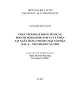 Phân tích hoạt động tín dụng đối với hộ kinh doanh và cá nhân tại ngân hàng thương mại cổ phần bắc á – chi nhánh cần thơ 