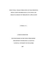 Structural characterization of nogo proteins  implications for biological functions and moleculedesign of therapeutic applications 