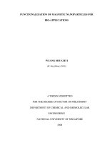 Funtionalization of magnetic nanoparticles for bio applications 