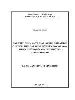 Cấu trúc quần xã ve giáp (acari oribatida) ở hệ sinh thái đất rừng tự nhiên độ cao 100m, thuộc rừng quốc gia cúc phương, tỉnh ninh bình