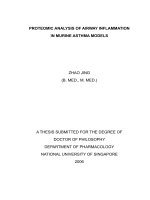 Proteomic analysis of airway inflammation in murine asthma models 