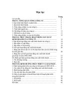 THỰC TRẠNG HOẠT ĐỘNG SẢN XUẤT KINH DOANH CỦA tổng công ty xây dựng công nghiệp việt nam