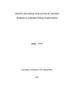 Genetic and signal regulation of quorum sensing in agrobacterium tumefaciens 