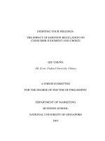 Fighting your feelings  the impact of emotion regulation on consumer judgment and choice 