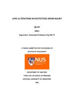 Lipid alterations in excitotoxic brain injury 