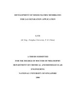 Development of mixed matrix membranes for gas separation application 