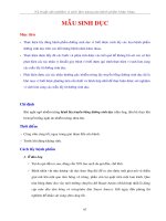 Bài giảng xét nghiệm mẫu sinh dục 