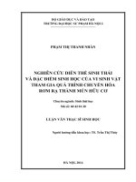 Nghiên cứu diễn thế sinh thái và đặc điểm sinh học của vi sinh vật tham gia quá trình chuyển hóa rơm rạ thành mùn hữu cơ
