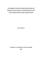Synthesis and functionalization of micro nano particles for malicious cells detection and elimination 