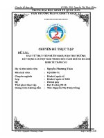 Đầu tư trực tiếp nước ngoài vào thị trường bất động sản Việt Nam trong bối cảnh khủng hoảng kinh tế toàn cầu