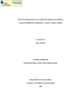 Role of interleukin 13 on the development of minimal change nephrotic syndrome   a novel animal model 