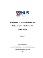 Development of image processing and vision systems with industrial applications 