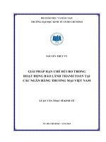 Giải pháp hạn chế rủi ro trong hoạt động bảo lãnh thanh toán tại các ngân hàng thương mại việt nam 