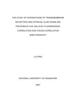 The study of interactions of transmembrane receptors and intracellular signaling proteins in live cells by fluorescence correlation and cross correlation spectroscopy 