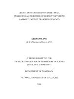 Design and synthesis of cysmethynil and analogues as inhibitors of isoprenylcysteine carboxyl methyltransferase (ICMT) 
