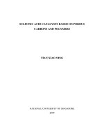 Sulfonic acid catalysts based on porous carbons and polymers 