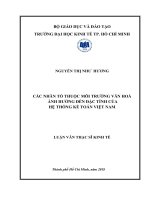 Các nhân tố thuộc môi trường văn hóa ảnh hưởng đến đặc tính của hệ thống kế toán việt nam 