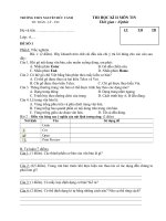 Đề thi kì 2 năm học 2010 2011