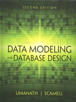 Data modeling and database design second edition