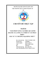 Giải pháp nâng cao hiệu quả kinh doanh tại Công ty TNHH tư vấn phát triển đầu tư và thương mại Hồng Thúy