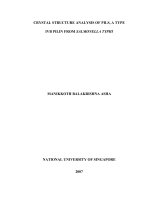 Crystal structure analysis of pils, a type lvb pilin from salmonella typhi 