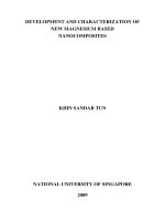 Development and characterization of new magnesium based nanocomposites 