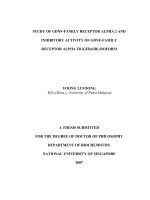 Study of GDNF family receptor alpha 2 and inhibitory activity of GDNF family receptor alpha 2b (GFR alpha 2b) isoform 