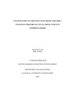 Investigation of the effects of serum amyloid a on human endothelial cells implications in atherosclerosis 