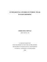 Fundamental studies on wheel wear in ELID grinding 