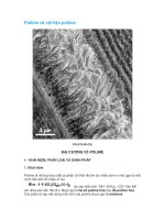 Polime   Vật liệu polime