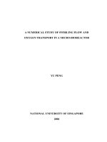 A NUMERICAL STUDY OF SWIRLING FLOW AND OXYGEN TRANSPORT IN a MICRO BIOREACTOR 
