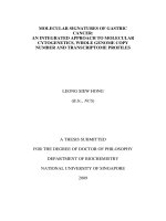 Molecular signatures of gastric cancer  an integrated approach to molecular cytogenetics, whole genome copy number and transcriptome profiles 