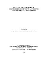 Development of barium hexaferrite composite materials for microwave absorption 